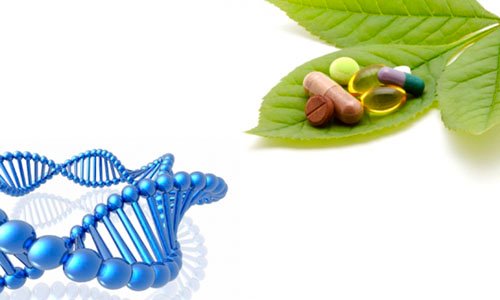 Ortomolecular